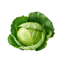 Fototapeta premium Fresh green cabbage head providing healthy raw vegetable food