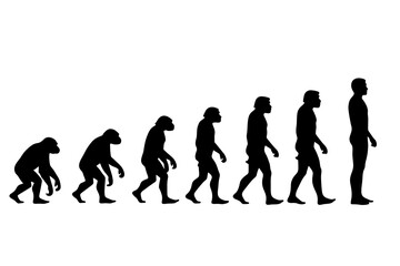 human evolution from ancient times to modern times