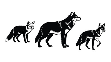 Canid silhouettes: fox, wolf, and coyote isolated on white background, Vector