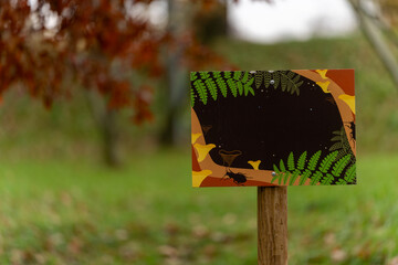 Kolorowa tabliczka edukacyjna w jesiennym parku © Kacper