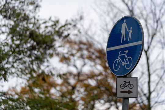 Znak ścieżki pieszo-rowerowej z kierunkiem jazdy w jesiennym otoczeniu