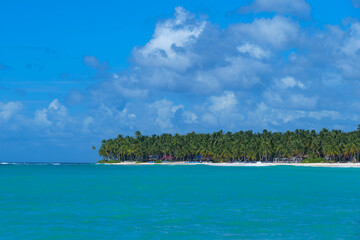 Fototapeta premium Saona island in Dominican Republic. paradise beach