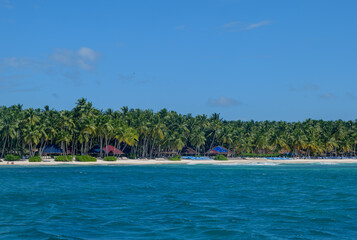 Saona island in Dominican Republic. paradise beach