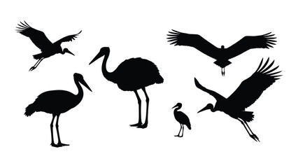 Obraz premium Stork and crane bird silhouettes isolated on white background, Vector