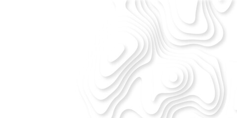 Luxury creative spiral paper background. vector natural shadow papercut web topography map spiral line. white light dynamic smooth cover origami papercut texture background.	
