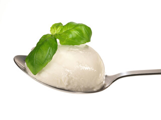 Food - Italian Mozzarella on a Spoon - White Background