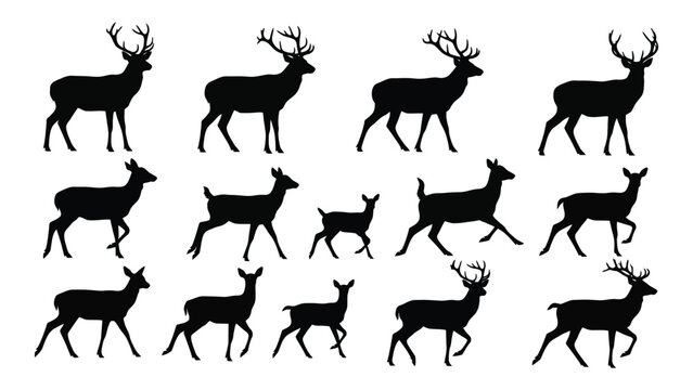 Collection of deer silhouettes isolated on white background, Vector