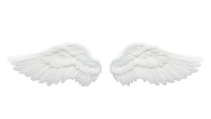 Fototapeta premium White angel wings with detailed feathers on Transparent Background for spiritual or fantasy themes