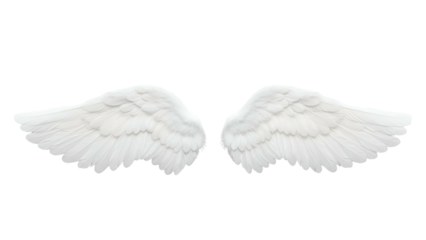 White angel wings with detailed feathers on Transparent Background for spiritual or fantasy themes