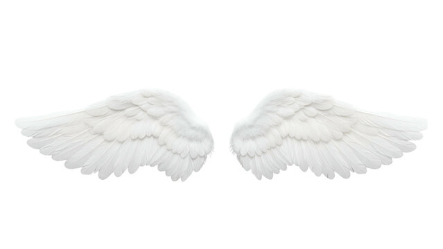 White angel wings with detailed feathers on Transparent Background for spiritual or fantasy themes