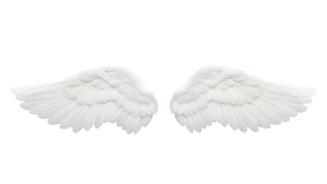 White angel wings with detailed feathers on Transparent Background for spiritual or fantasy themes