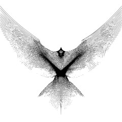 Abstract bird wings vector illustration, black and white bird drawing, flying bird design element, line art 100