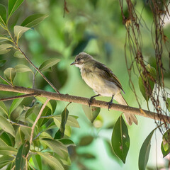 birding spot