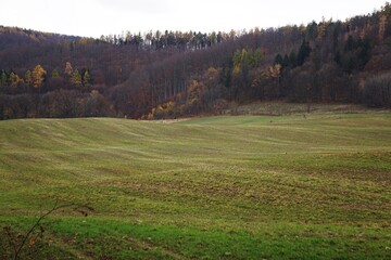 Jesienna łąka w czeskich górach spowita chłodnym powietrzem. Złote trawy i czerwone liście kontrastują z zielenią wzgórz, tworząc spokojny, melancholijny krajobraz.