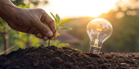 Hand planting lightbulb planter with tiny tree