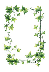 PNG A cute frame made of leaves vines leaf illustration green.