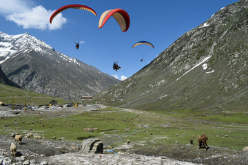 Tourists paragliding 3 pm 6 june 2025 at Leh Ladakh with view of Himalayan mountain range.
