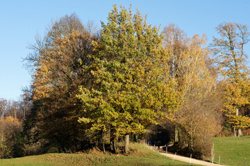 Freiburg im Breisgau - Schönberg - Wanderweg
