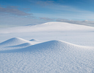winter landscape with snow