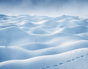 winter landscape with snow