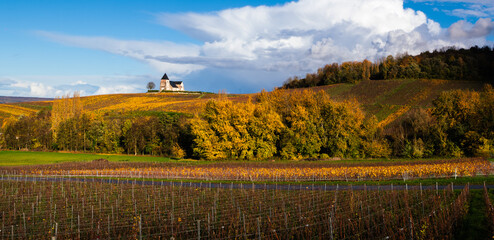 Vineyard landscape in the Champagne region in autumn - Chapel on the hilltop