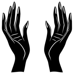 Elegant pair of hands reaching upwards