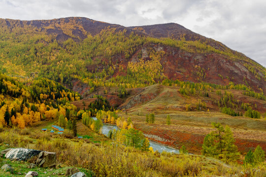 Breathtaking view of Altai region in autumn, featuring a winding river surrounded by vibrant foliage. Experience calmness and natural beauty in this tranquil landscape. Russia.