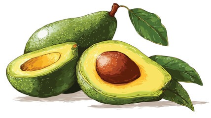 Avocado Trio Vector Illustration with Outline for Creative Projects