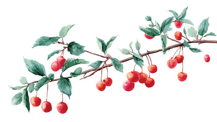 Vibrant Berry Twig and Branch with Hanging Berries Vector Illustration