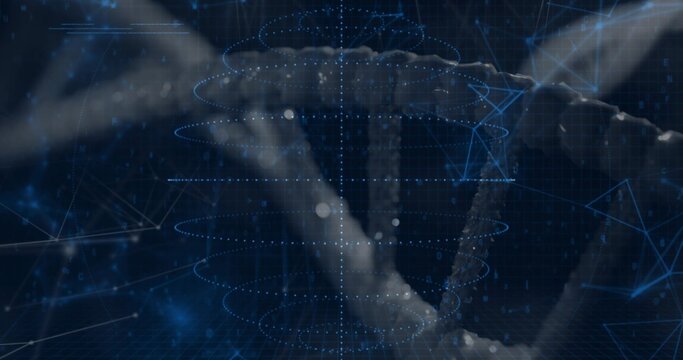 Rotating stylized DNA double helix floating in navy grid, displaying glowing nodes and rings - Powered by Adobe