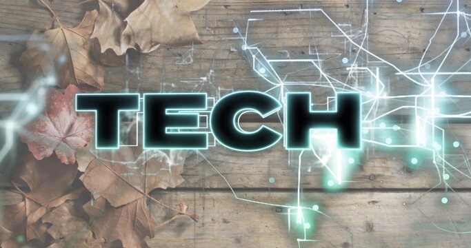 Displaying bold TECH text glowing on wooden plank surface, mixing dried leaves and circuitry