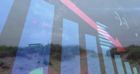Naklejka premium Overlaying translucent data with bar charts tinting dune path, showing red falling arrow and bench