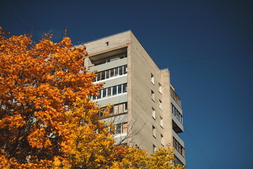 A corner of a residential building framed by vivid golden autumn leaves under a deep blue sky, showcasing the harmony of urban design and seasonal nature.