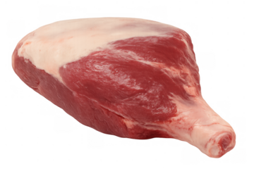 Raw lamb leg, bone in, fresh meat cut for cooking, preparing healthy protein, isolated on transparent background