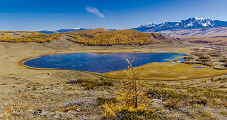 Quiet mountain lake, autumn larch taiga on the background of snow-capped mountains north chui range. Altai Republic, Russia