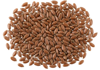 Photorealistic, perfectly distinct, shiny brown flax seeds scattered organically on a transparent background, macro close-up, soft studio light, copy space. Concept of natural goodness