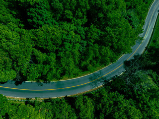 Car in rural road in deep rain forest with green tree forest view from above, Aerial view car in the forest on asphalt road background, Electric vehicle EV car drive asphalt road green tree forest
