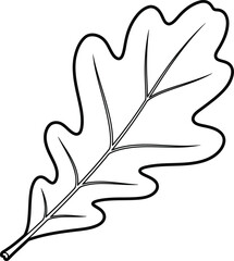 Outline illustration of a single oak tree leaf with detailed veins