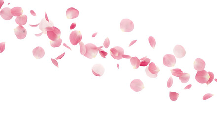 Scattered pink cherry blossom petals floating in the air