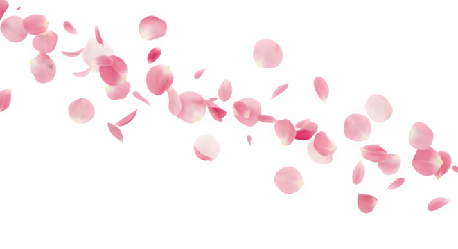 Scattered pink cherry blossom petals floating in the air