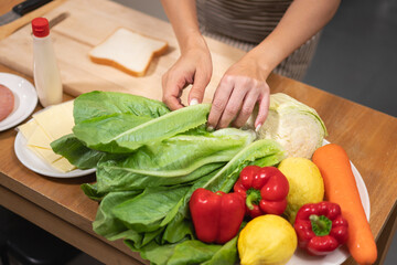 Overhead shot of hands preparing a variety of fresh vegetables and ingredients for making a healthy sandwich
