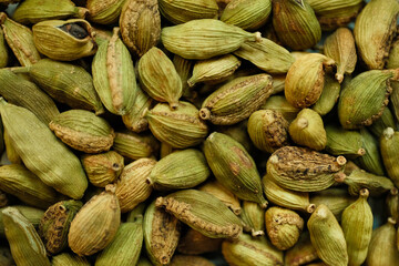 Close-up of green cardamom pods