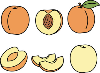 Peach Fruit Vector Illustration