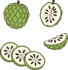 Srikaya Fruit Vector Illustration