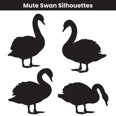 Mute Swan Silhouettes