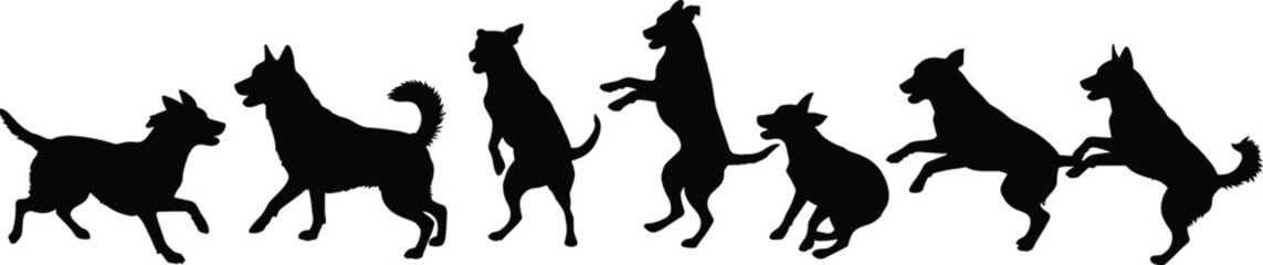 Silhouette of multiple dogs running and jumping together, playful pets, outdoor activity, animal friendship, happiness, energy, and fun lifestyle