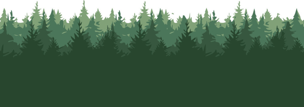 forest layered pine trees depth perspective vector illustration for backgrounds