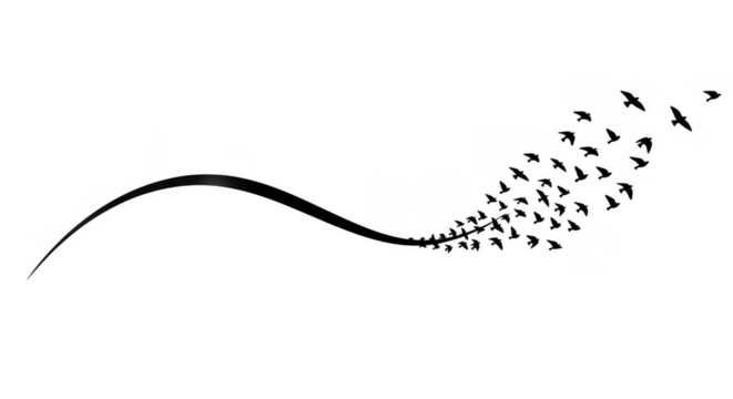 An elegant dark gray abstract flowing curve with fading particle dust elements dissolving into a subtle gradient against a transparent background. isolated on transparent background