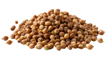 Pile of coriander seeds isolated on transparent background, ready for cooking