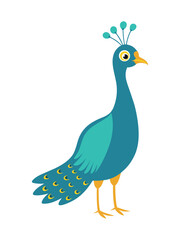 Simplified Cartoon Peacock Illustration
